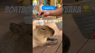 boatboat vs capybarashorts capybara rabbit sigma [upl. by Eylatan]