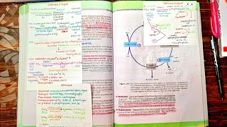 PHOTOSYNTHESIS IN HIGHER PLANTS CLASS 11TH NCERT BIOLOGY FOR NEET PHYSICSWALLAH [upl. by Ettedo194]