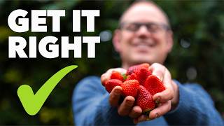 Strawberry Growing Masterclass My Top Tips for Huge Harvests [upl. by Kilby51]