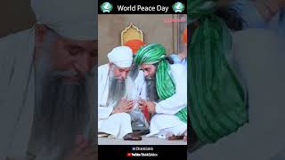 World Peace Day santbabadarshansinghji tapobandhakkisahib [upl. by Lleinnad]