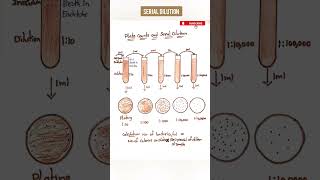 Serial Dilution for Microbial Growth  Microbiology  Medi Queries [upl. by Auberon186]