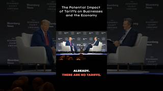 The Potential Impact of Tariffs on Businesses and the Economy donaldtrump politics interview [upl. by Selinski485]