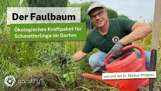 Der heimische Faulbaum  So förderst du Biodiversität im Garten und hast ein Paradies für Raupen [upl. by Iyre625]