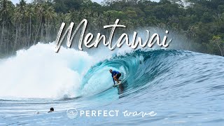 Surfing Mentawai With The Perfect Wave  Andy Potts [upl. by Sperry]