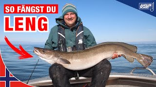 Leng angeln in Norwegen  Montage Köder und Ausrüstung zum Meeresangeln auf große Fische [upl. by Treve377]