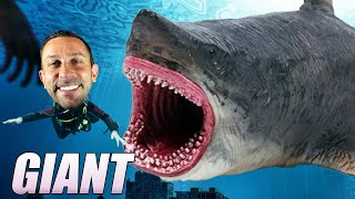 Win A Megalodon Tooth In The Ultimate Battle Of Megalodon Vs Mosasaurus Worlds Greatest Animals [upl. by Michale]