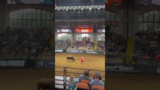 The Ultimate Bull Fighters bullfight bullfighters manvsbeast [upl. by Anilra545]