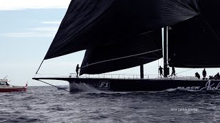 Les Voiles De Saint Tropez 2024  Maxis Day 1 [upl. by Edgar926]