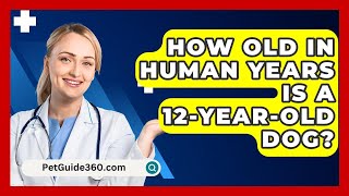 How Old In Human Years Is A 12YearOld Dog  PetGuide360com [upl. by Mitman618]