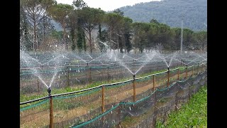 Allevamento Lumache  Lezione di Elicicoltura impianto di irrigazione [upl. by Ephraim]