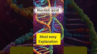 DNARNANucleic acidstudy biology students neet shorts [upl. by Boys]