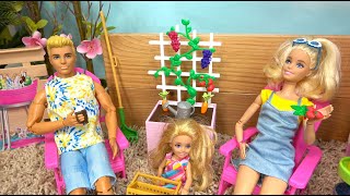 Barbie and Ken at Barbie Dream House Barbie New Garden w Sister Chelsea [upl. by Georgette331]