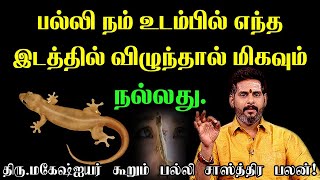 பல்லி நம் உடம்பில் எந்த இடத்தில் விழுந்தால் என்ன பலன் Palli Vilum Palan Indian Astrology prediction [upl. by Riess]