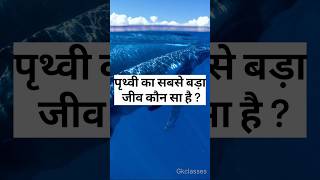 पृथ्वी का सबसे बड़ा जीव कौन सा है  🤔🤔🔥 gk gkquiz [upl. by Nol]