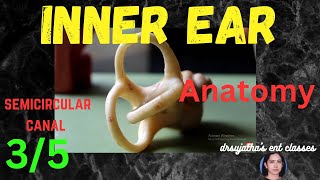 011 Anatomy of Inner Ear  Part  35 semicircular canal anatomy [upl. by Lezti814]