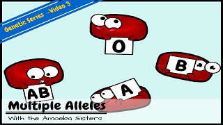 Multiple Alleles ABO Blood Types and Punnett Squares [upl. by Leamaj628]