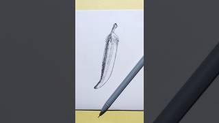 easy Ladies finger Drawing  art with ballpen step by step sketch art drawing [upl. by Petrie]