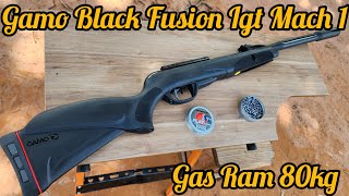 CARABINA GAMO BLACK FUSION IGT MACH 1 UM RIFLE POTENTE COM QUALIDADE GAMO [upl. by Chloris]