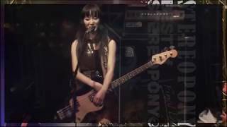 STEREOPONY  fuzz BEST of STEREOPONY Final Live [upl. by Ahsrop]