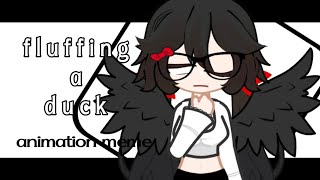 fluffing a duck orginal animation meme [upl. by Mathre]