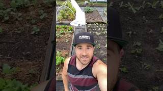 Fall Gardening Secrets Revealed [upl. by Earas]