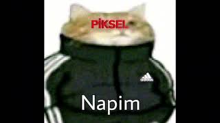 11 FARKLI SES EFEKTİ İLE NAPİM KEDİ [upl. by Neemsay]