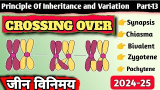 Class 12  Crossing Over  जीन विनिमय  Principle of Inheritance and Variation [upl. by Machos]