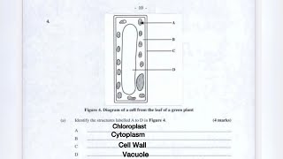 CSEC Biology 2024 Exam Review Questions [upl. by Dodi]