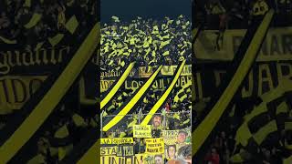 quotCARBONERO HOY TE VINIMOS A VERquot ⚫🟡 libertadores gloriaeterna peñarol [upl. by Yzdnil]