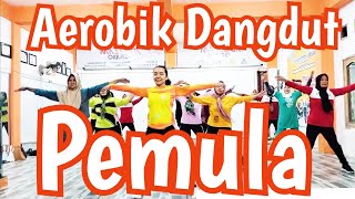 AEROBIK MUSIK DANGDUT UNTUK PEMULA [upl. by Yssis996]