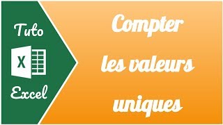 Comment compter le nombre de valeurs uniques sur Excel [upl. by Freud730]