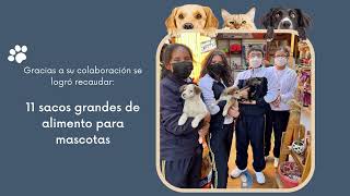 Proyecto CAS  Happy Paws  Colegio Magister [upl. by Enirod83]