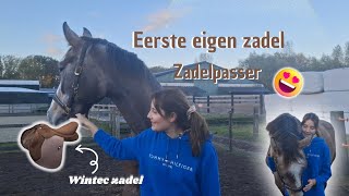 eerste zadel kopen voor mijn jong paard  Equi Umbie [upl. by Kamila872]