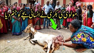 Molvi Ki Bakri Ne insan ka baccha paida Kiya per kaise  Goat gives Birth to Human Baby [upl. by Lud]