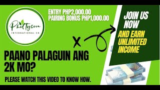 PAANO PALAGUIN ANG DALAWANG LIBONG PISO MO NG HIGIT SA INAASAHAN  PHILTYCOON COMPENSATION PLAN I [upl. by Valenka845]