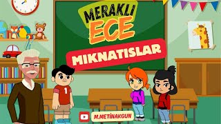 Meraklı Ece 5 Mıknatıslar [upl. by Alym]