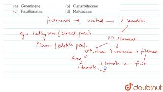 Diadelphous stamens occur in [upl. by Louella]