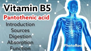 pantothenic acid  functions  sources  lecture Vitamin B5 [upl. by Frame]