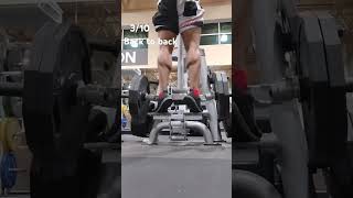 calves day calves motivation fitness gym [upl. by Rovit]