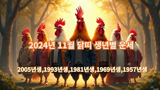 2024년 11월 닭띠 생년별 운세  개운 방법 이전달과 달라지는점 [upl. by Noitna]