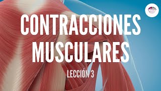 3 CLASIFICACIÓN DE LAS CONTRACCIONES MUSCULARES FISIOLOGÍA MUSCULAR [upl. by Haneeja235]