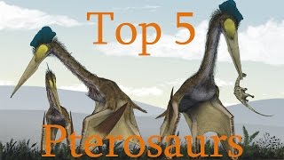 Top 5 Pterosaurs [upl. by Ecirtael130]