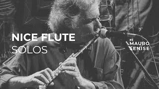 Nice Flute Solos The best of Jazz amp Bossa nova flute music [upl. by Gun818]