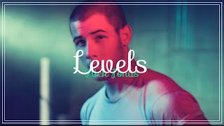 Nick Jonas  Levels Deutsche Übersetzung [upl. by Orestes]