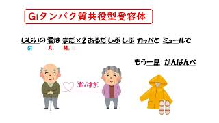 【ゴロだけまとめ医療系学生必見】Gタンパク質共役型受容体はゴロでサクッと覚えましょう！ [upl. by Sivolc]