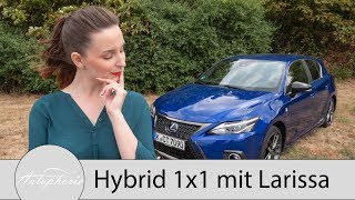 Das Hybrid 1x1 Was sind eigentlich Hybride Larissa erklärt die verschiedenen Systeme  Autophorie [upl. by Ithnan]