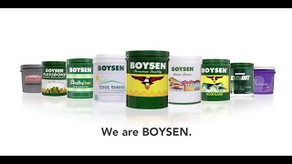 quotSoarquot  Pacific Paint BOYSEN Philippines Inc Corporate AVP [upl. by Jann462]