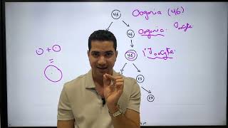 Embryology 1  Frtilization  Dr Wagih [upl. by Casimire]