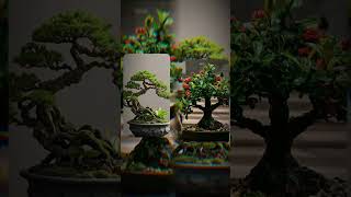 bonsai shorts xuhuong [upl. by Notyep]