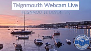 Teignmouth Webcam  Salty Cottage Cam sponsored by Dart and Partners [upl. by Mahalia]